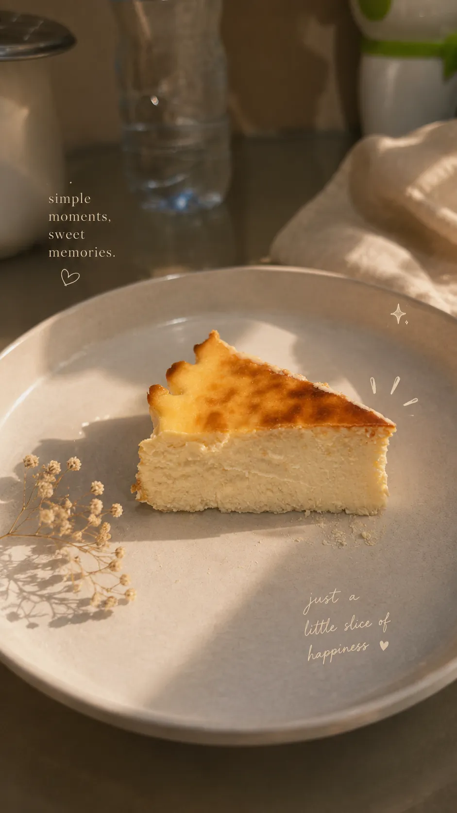 Burnt Cheesecake Slice
